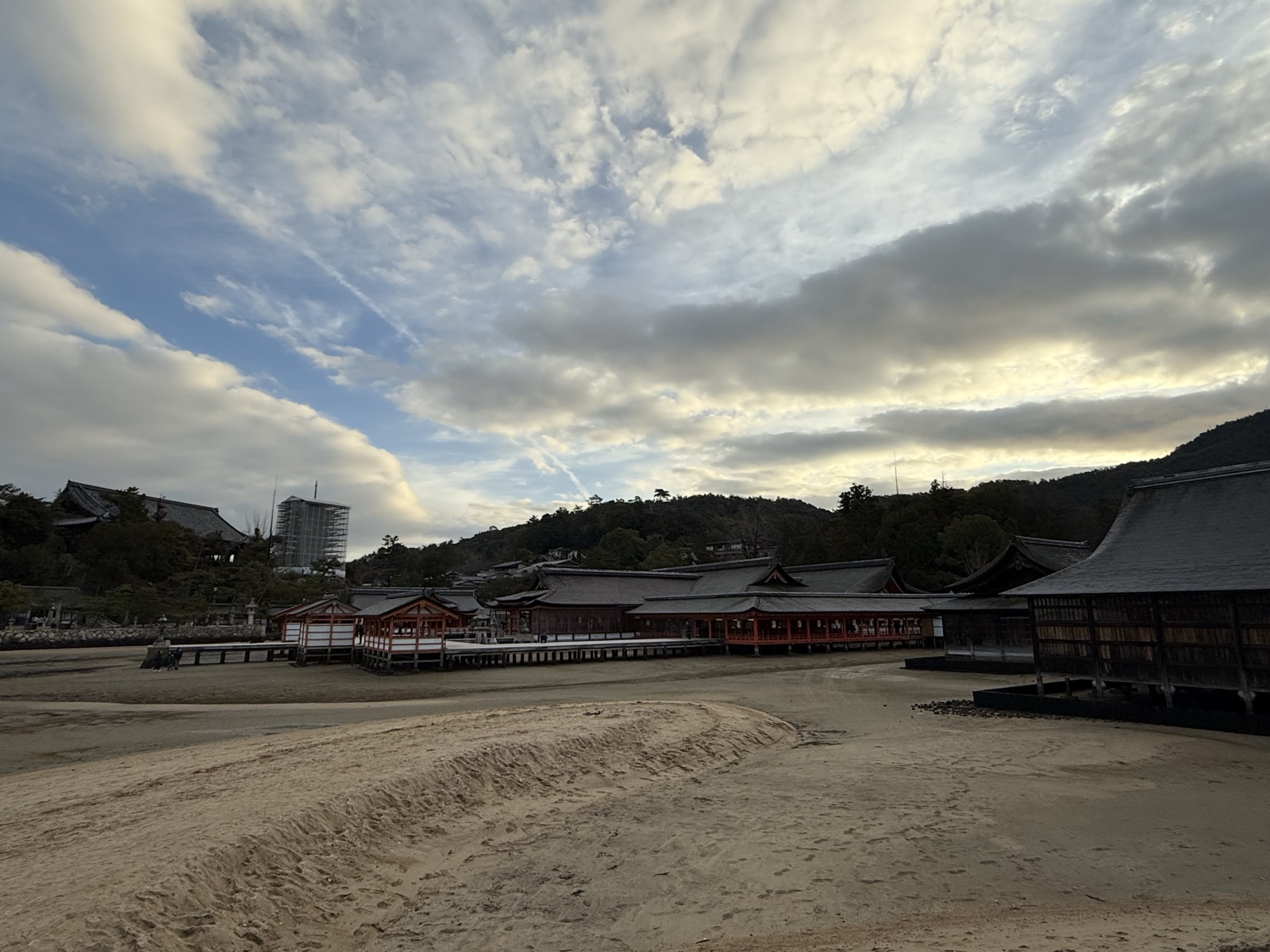 早朝の宮島の浜。干潮で鳥居のそばまで歩けます