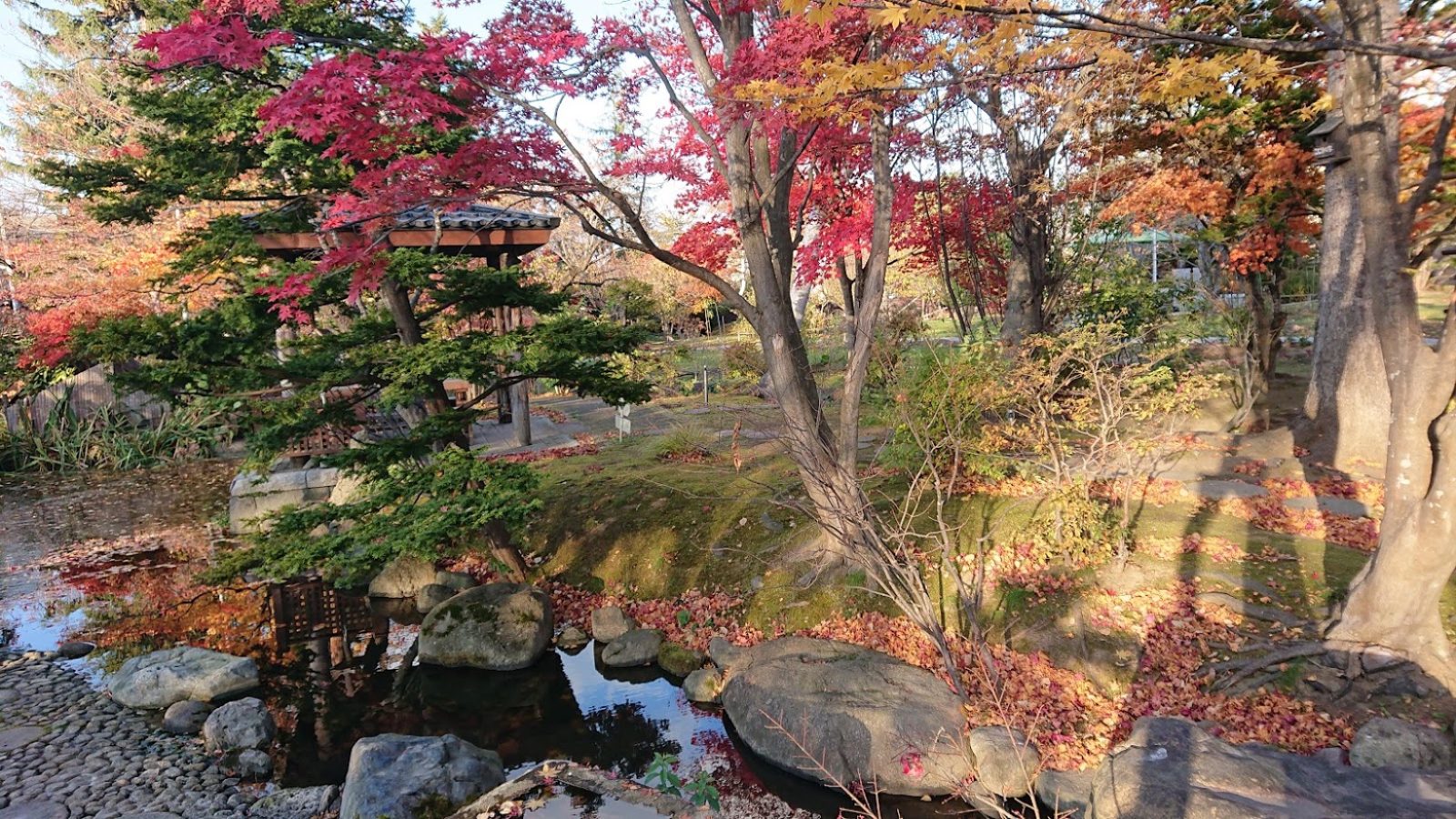 おたる宏楽園の日本庭園。池と飛び石、灯籠、紅葉した木々