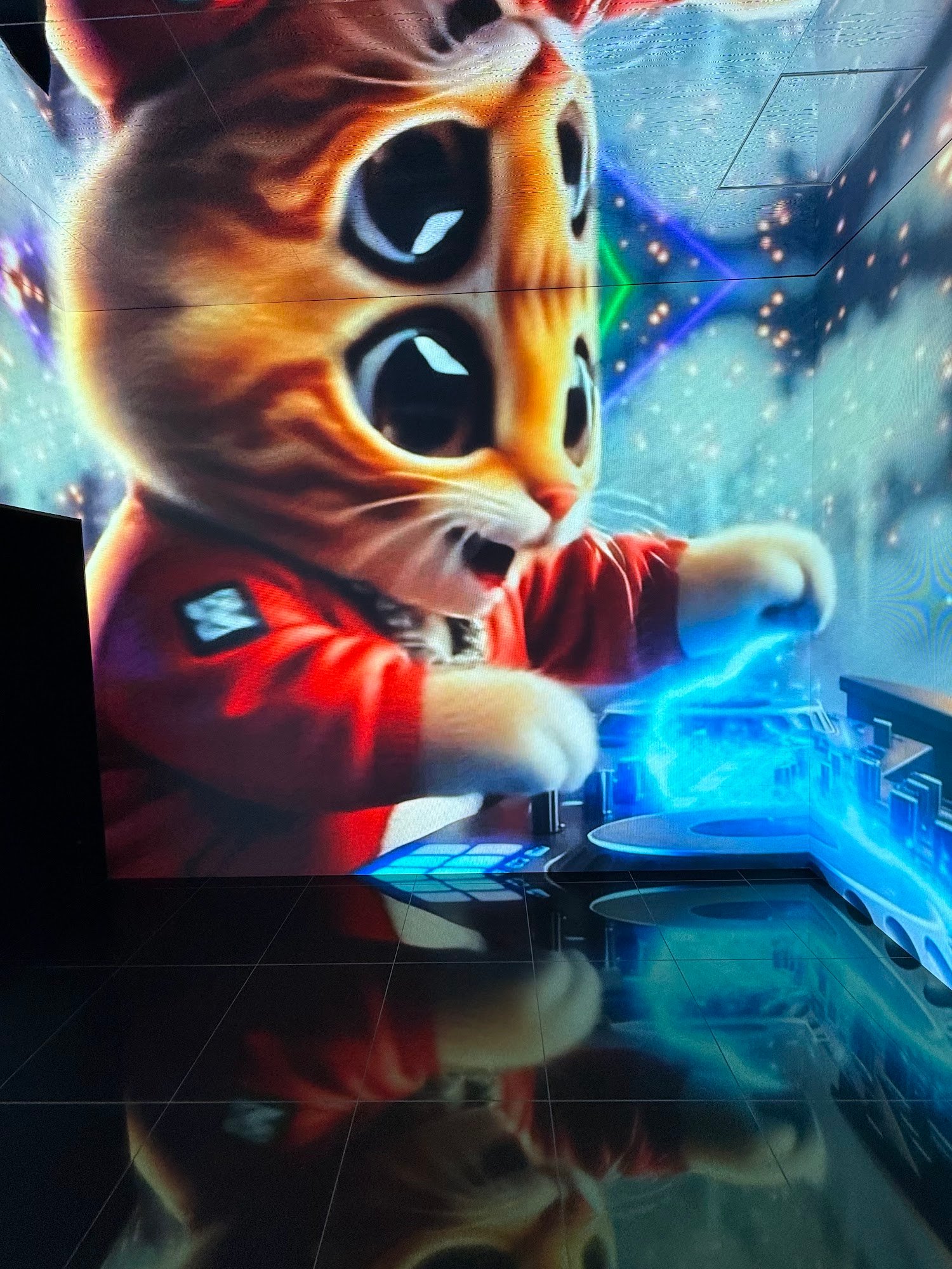 壁いっぱいに映し出された猫のデジタルアート