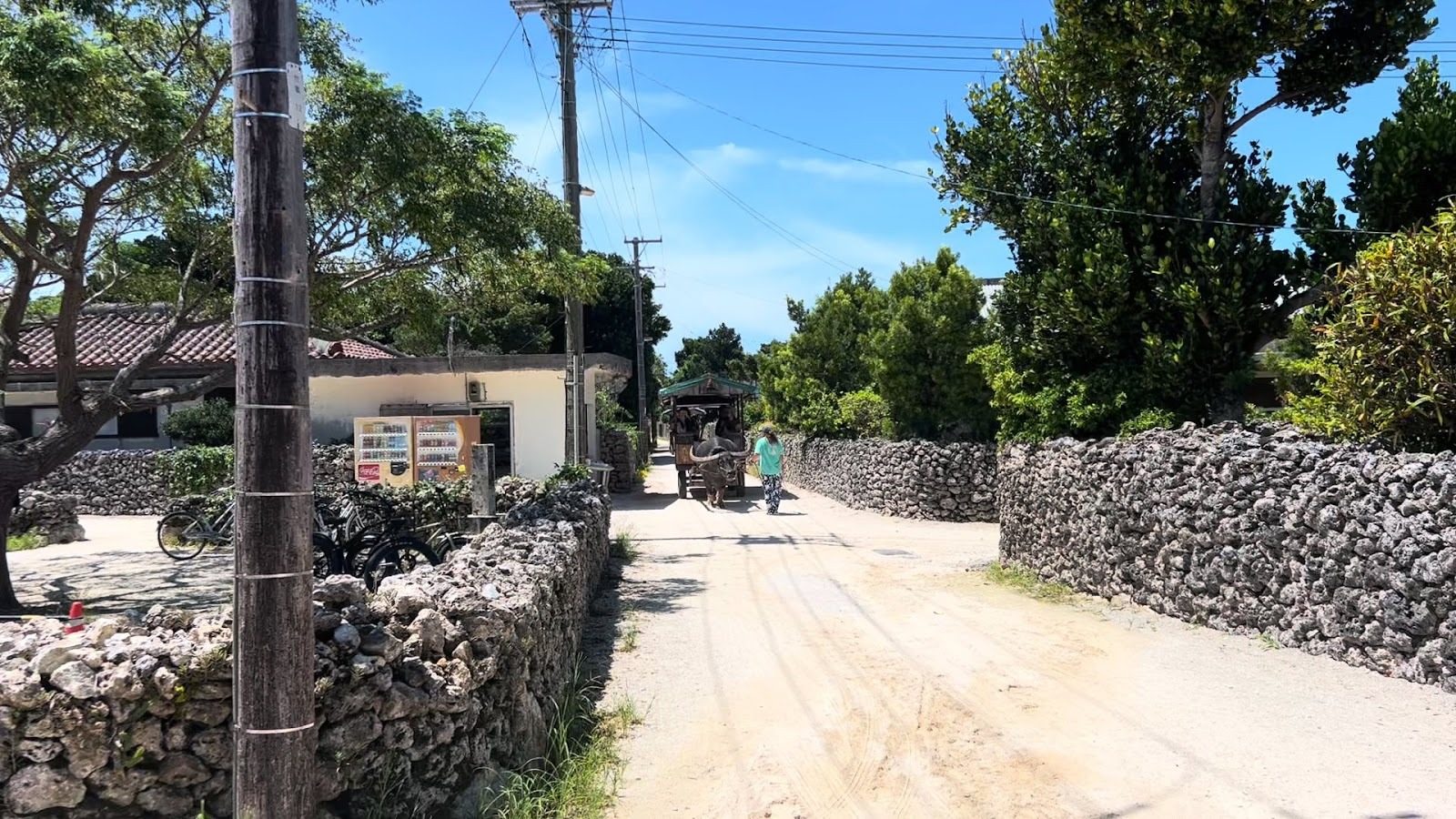 竹富島の白い砂の道と石垣
