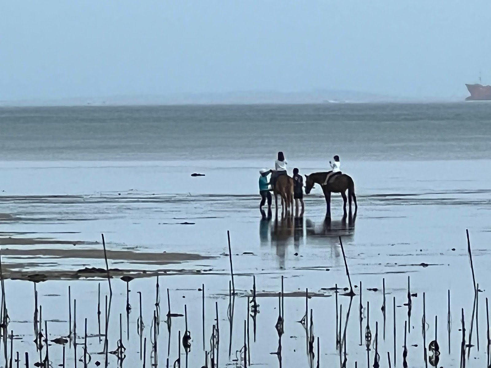 与那国馬に乗って海の中を歩くホーストレッキング(遠景)
