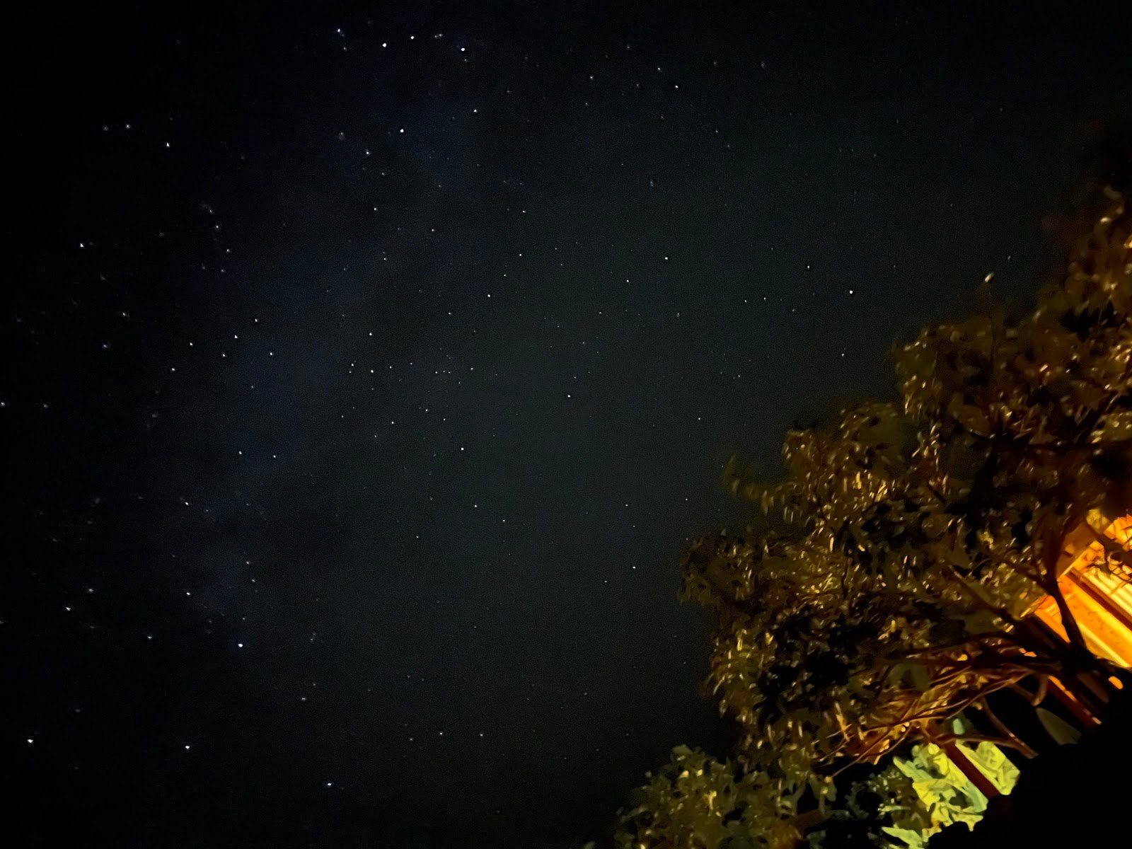 竹富島の星空